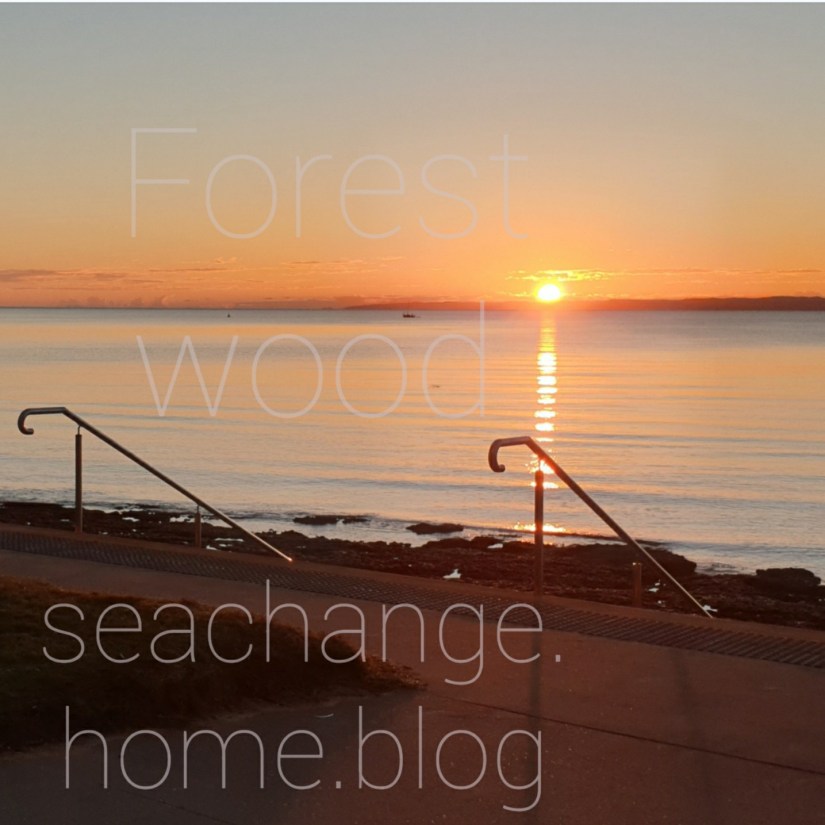 Sunrise seachchange home by the sea logo